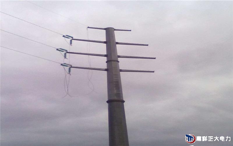 生产高压电线杆是在一定转速，产生足够的离心力，使水泥料形成中间空的电线杆的钢模中用蒸汽养护而成